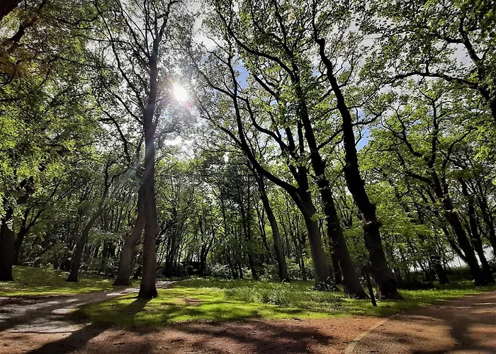 Chata Ajna Park W Uzdrowisku Kolobřeh