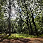 ロッジ Ajna Park W Uzdrowisku コウォブジェク