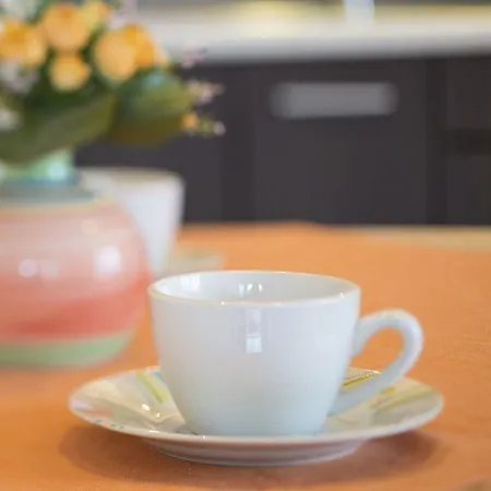 Ajna Park W Uzdrowisku *